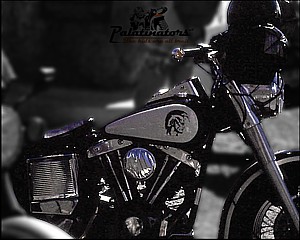 Harley Davidson FLH 1340 Shovelhead