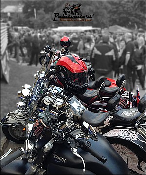 Triumph Tridays 2014