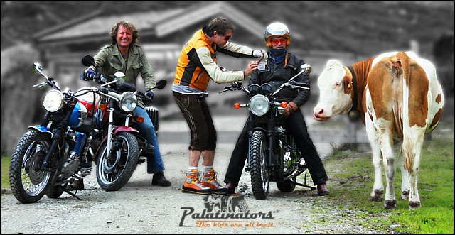 Triumph Tridays 2010