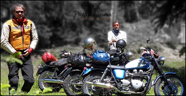 Triumph Tridays 2010