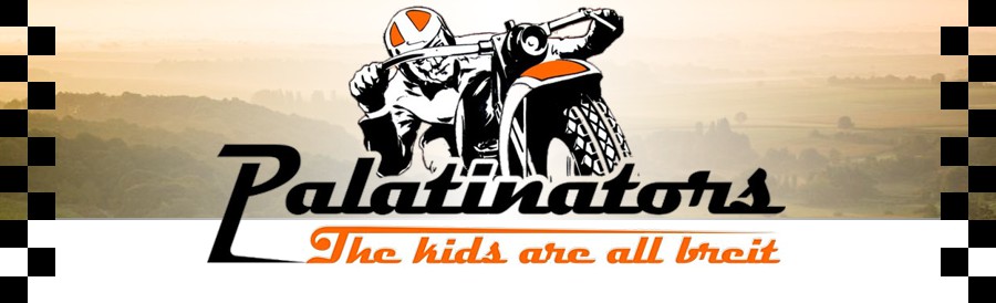 Palatinators - The Kids are all breit